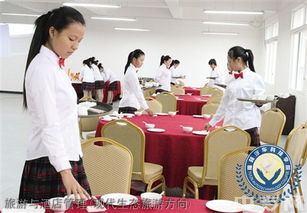 榆林旅游、酒店與職業(yè)教育深度解析 從能源化工到旅游管理，再到電商咨詢